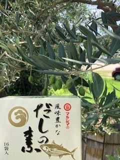 『風味豊かなだしの素』を使ってみました!
