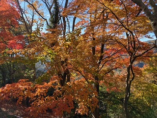 小豆島の秋の景色