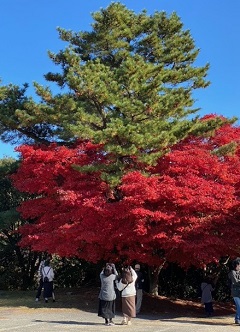 小豆島の秋の景色