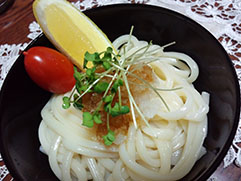 讃岐の定番　おろしうどん